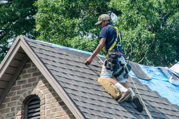 Best Shingle Roofing Installation  in Windber, PA